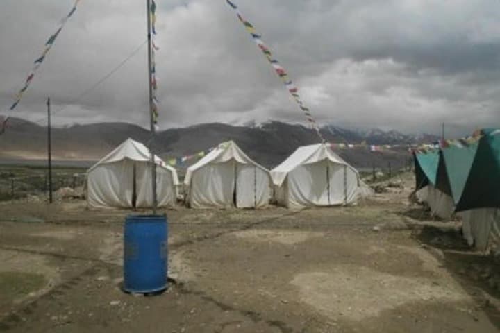 Golden Mark Camp photo 2