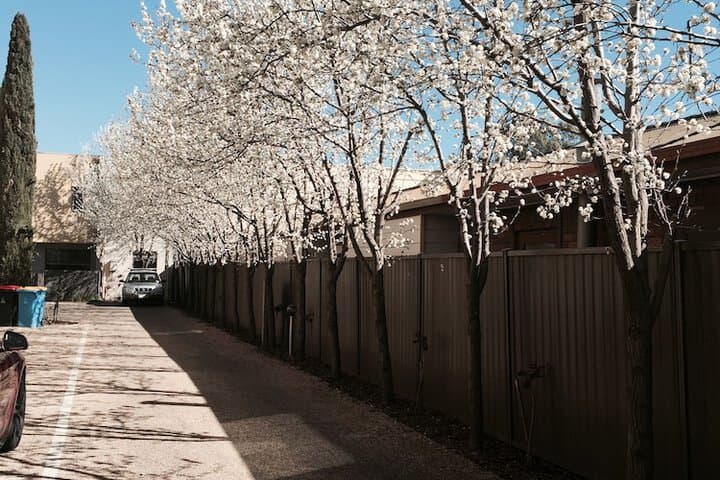 Central Shepparton Apartments photo 2