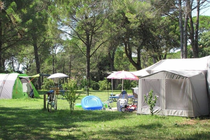 Belvedere Pineta Camping Village photo 3