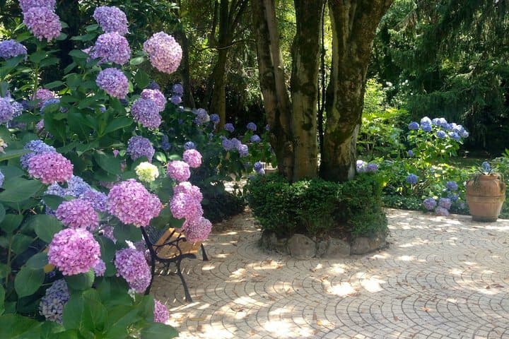 Villa Abbamer photo 5