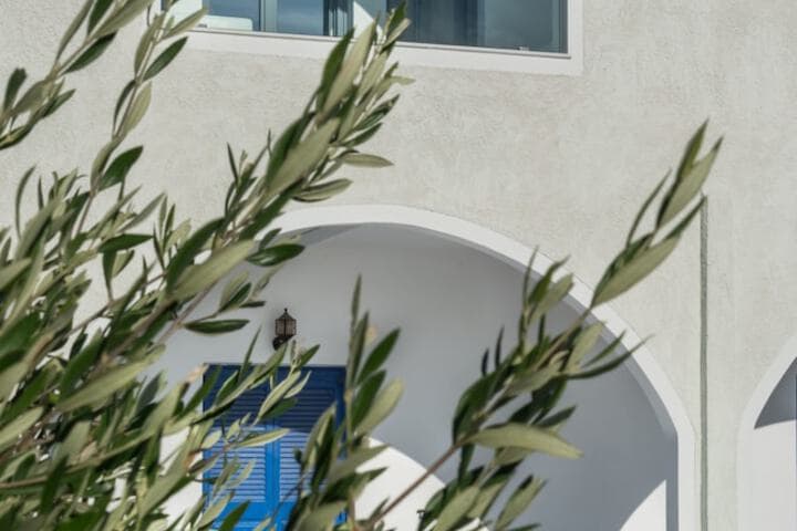 Aspronisi Luxury Villa photo 4