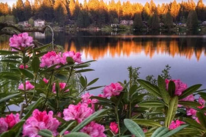 Cottage Lake Bed&Breakfast photo 5