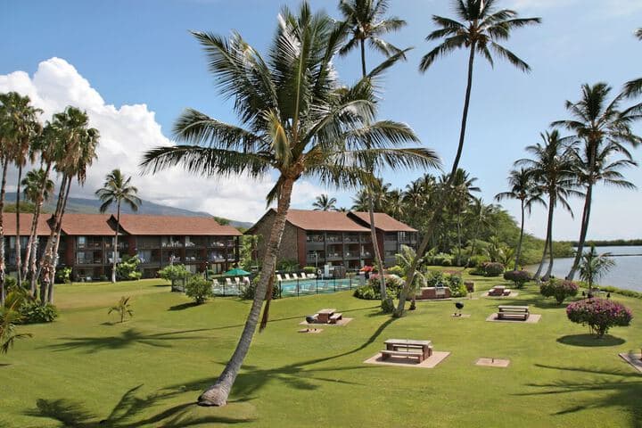 Kumimi Beach destination view