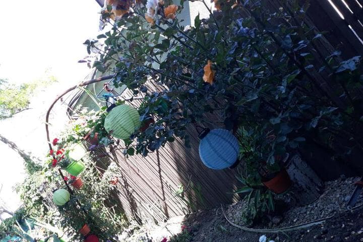 Casa Silvia photo 4