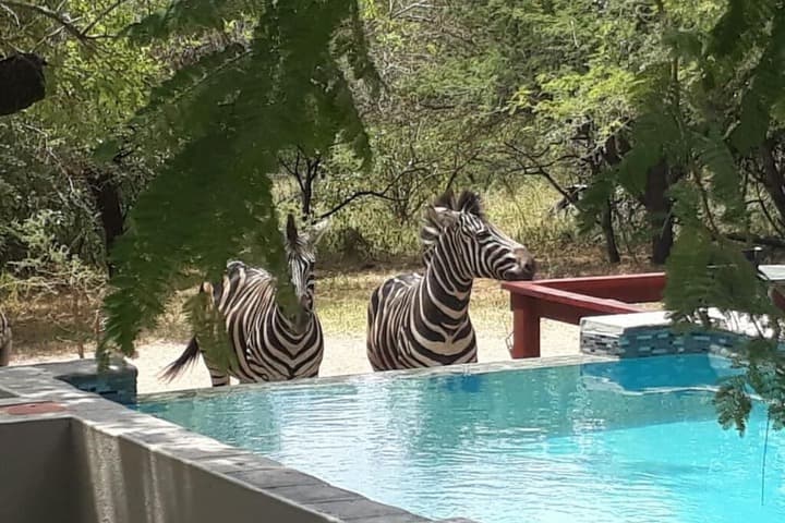 Turaco Lodge photo 2