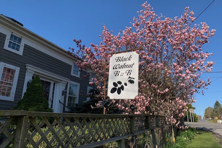 Black Walnut Bed&Breakfast photo 2