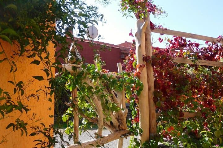 Residence La Pineta photo 3