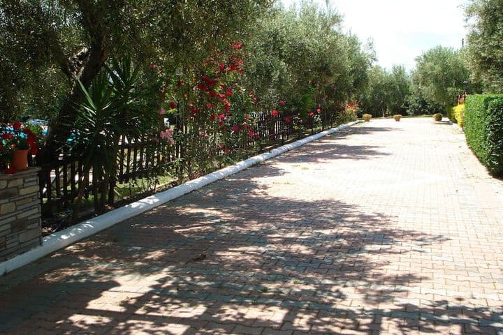 Asteris Village photo 4