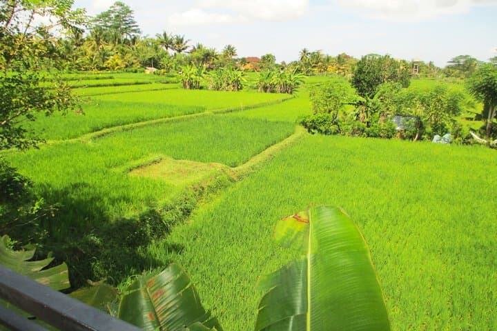 Panorama Ubud Private Villa photo 4