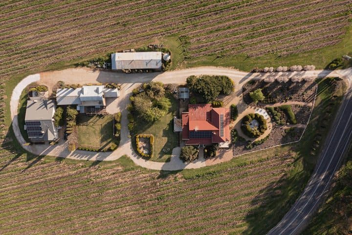 Barossa Shiraz Estate photo 4