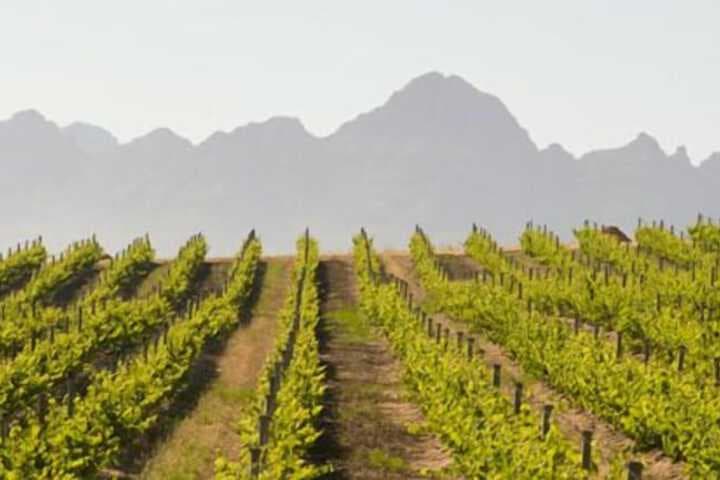 Jordan Wines Luxury Suites photo 4