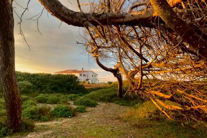 Il Canneto photo 1