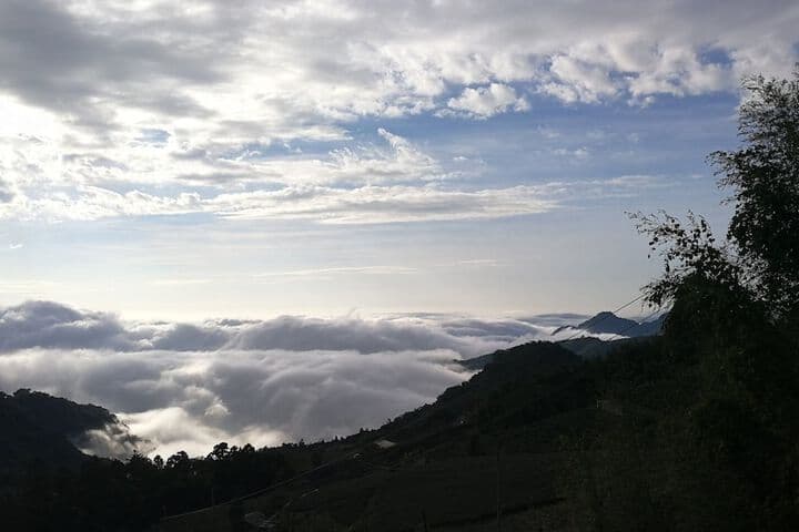 Alishan Tea Homestay photo 5