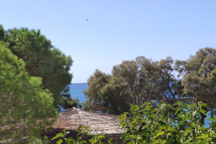 Porto Koundouros Villas photo 5