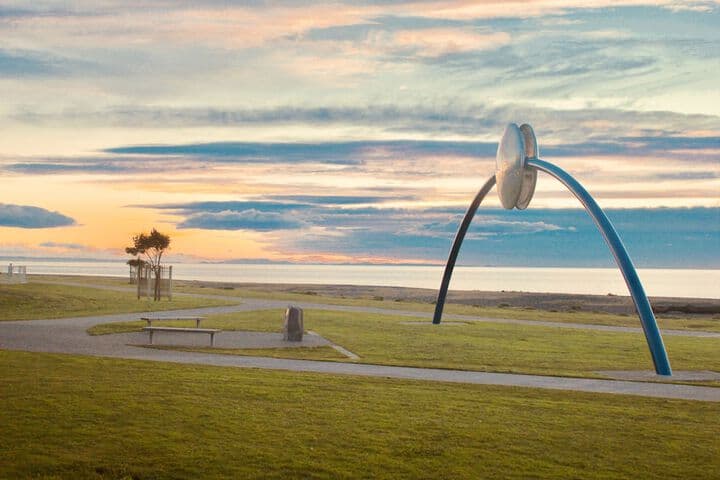 The Nautilus Napier photo 4