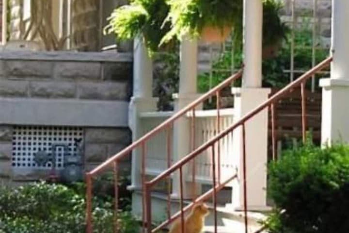 Walnut Street Inn photo 4