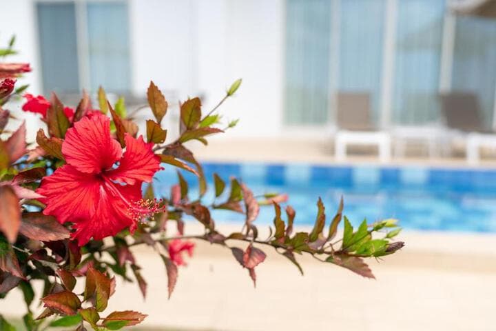 Crystal Villa Miyakojima Sunayama Beach photo 5