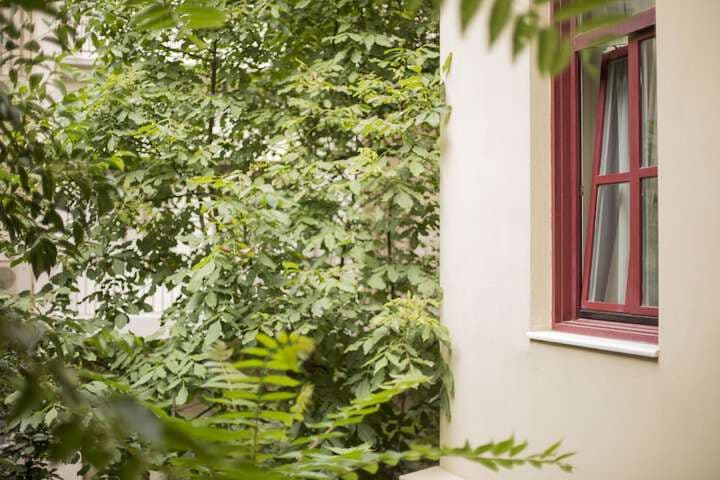 Gatto Perso Luxury Apartments photo 5