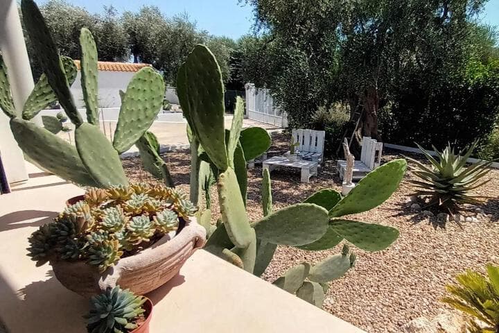B&B Sperlonga photo 5