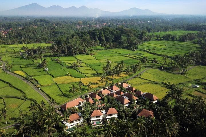 Dedary Resort Ubud photo 4