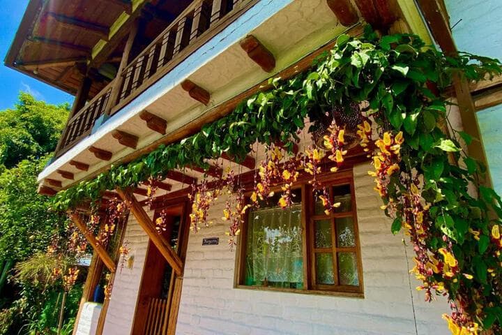 Casa Magnolia photo 4