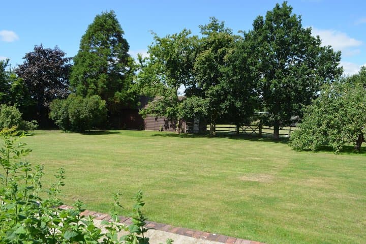Hanger Down House Bed&Breakfast photo 5