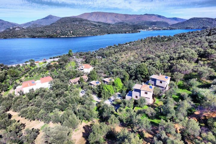 Geras Olive Grove photo 4