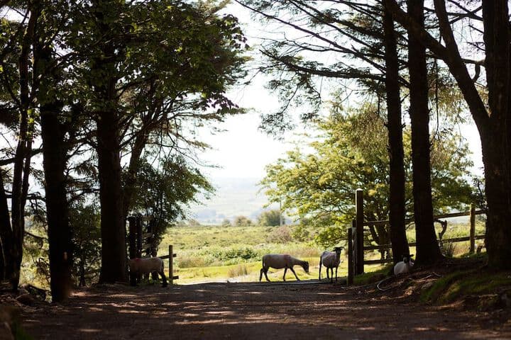 Commonmoor destination view
