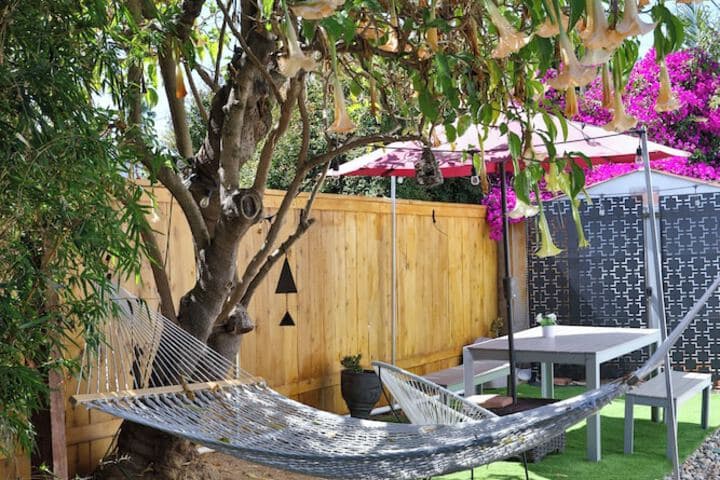 Hipster Haven photo 3