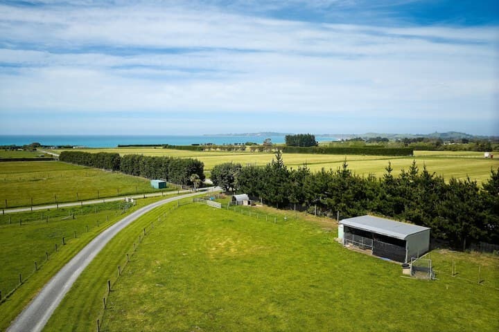 Awatea Country B&B photo 5