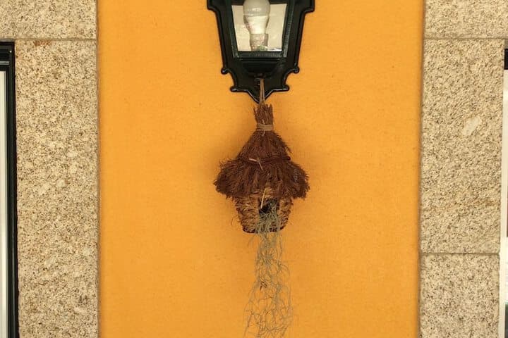Charming Antas House photo 2