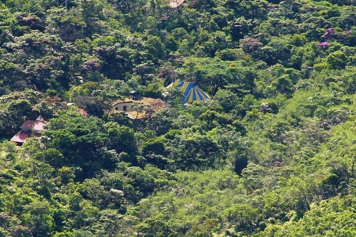 Ilha de Mato photo 2