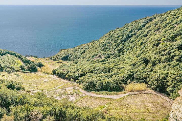 Villa La Torre photo 5