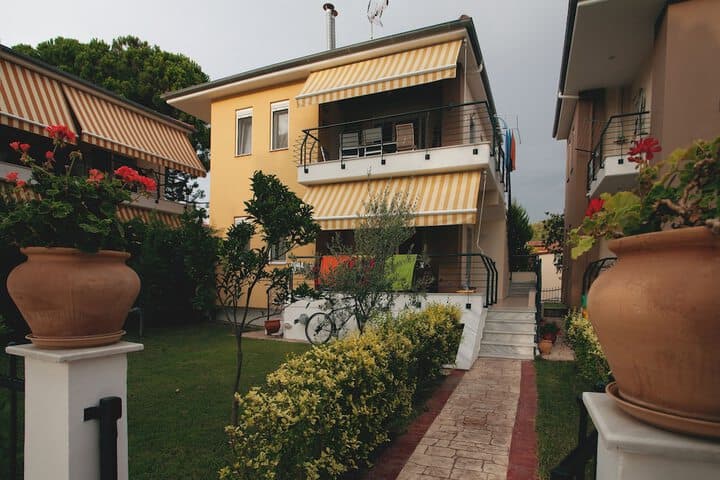 Olive Village photo 2