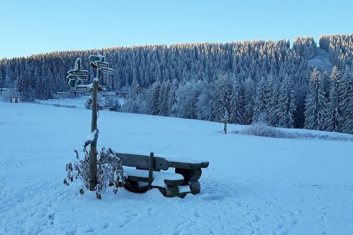 Pension Zum Glasmacher photo 2