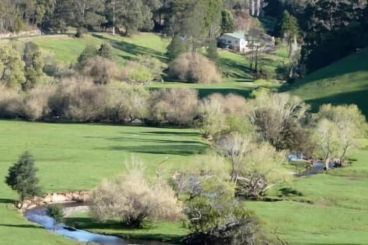 Toorongo River Sanctuary photo 5
