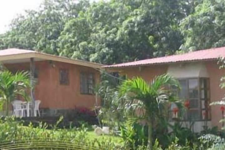 Villas Solania photo 3