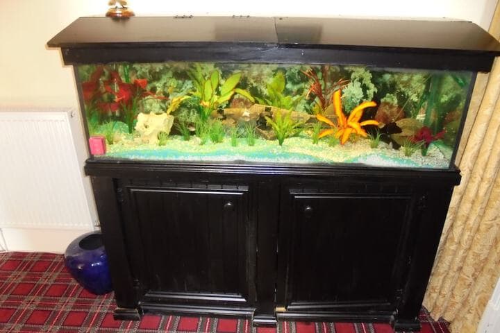Avondale House photo 4