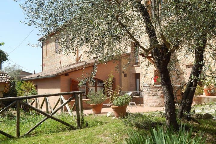 Fullino Nero photo 4