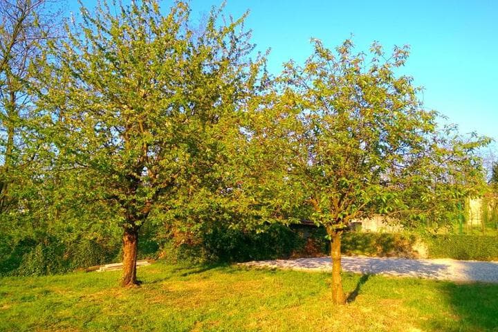 B&B Vinago Belvedere photo 5