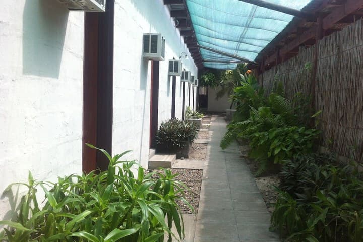 Alfa Accommodation photo 3