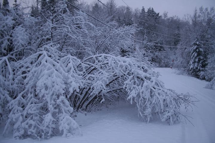 La Chaumiere de l Anse photo 3