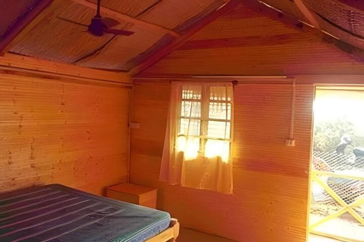 Tivai Beach Cottages photo 3