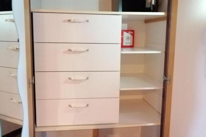 Begonie photo 5