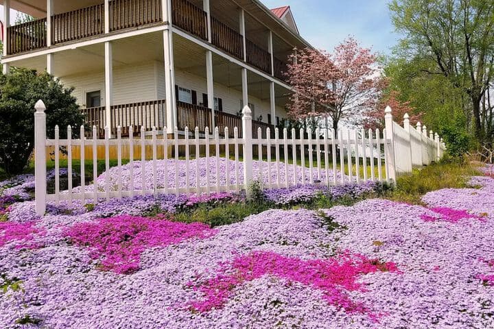 Rocky Hill Inn photo 3