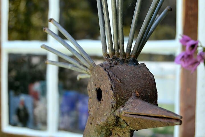 Wittedrift Manor House photo 3