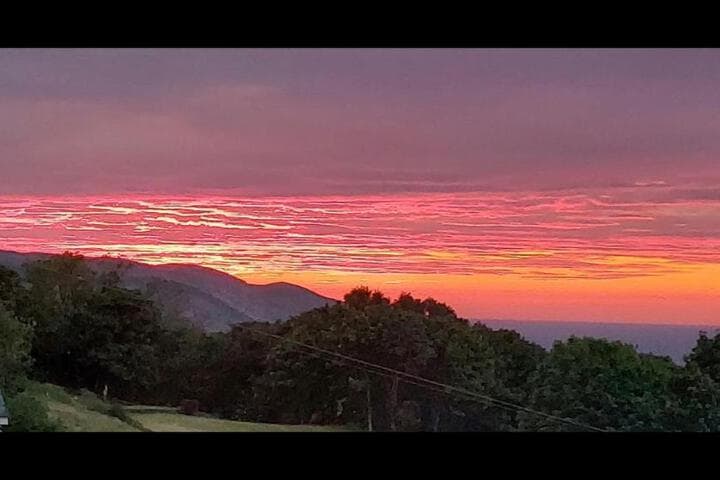 Bryn Goleu Bed&Breakfast photo 3