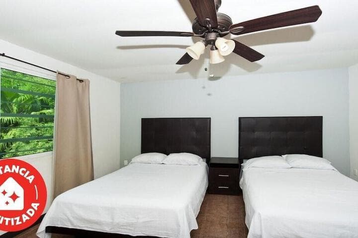 Econosuites Monterrey photo 4