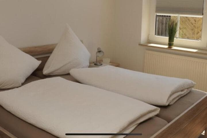 Seestern photo 5