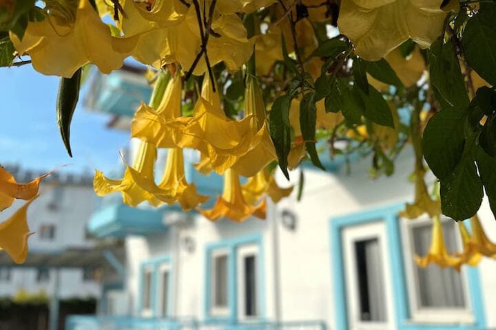 Enjoy Hotel photo 1